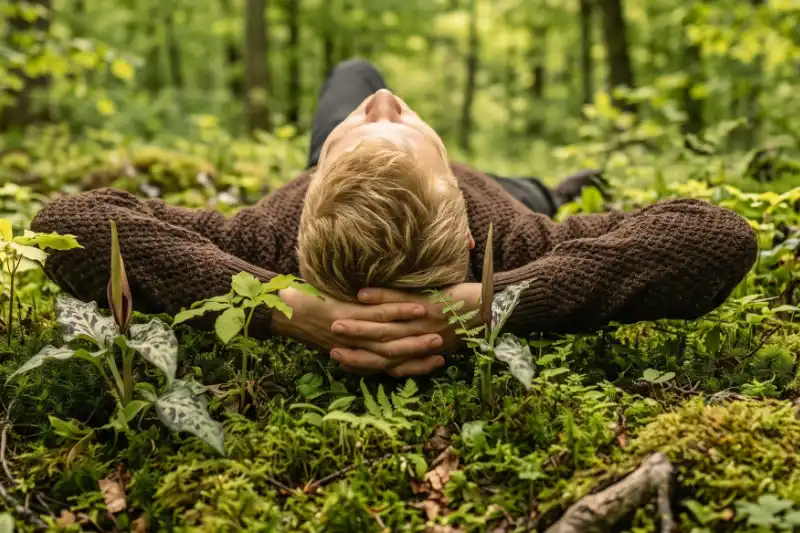 Weg im Wald – Orientierung und nächster Schritt