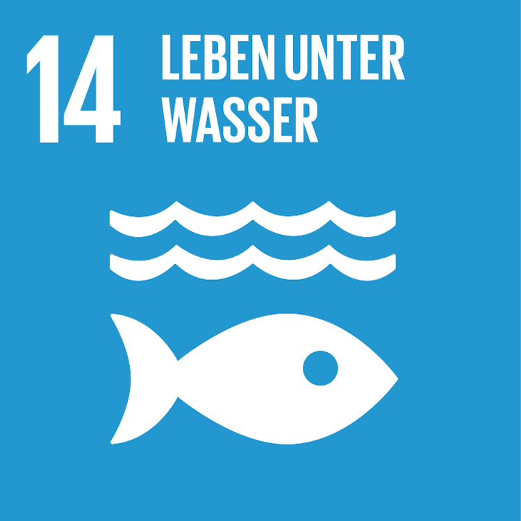 Symbol: SDG Ziel 14- Leben unter Wasser