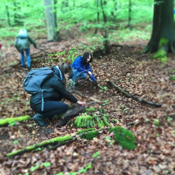 wald-kreativ-wald-x-900